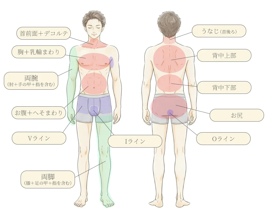 男性医療脱毛(全身)部位