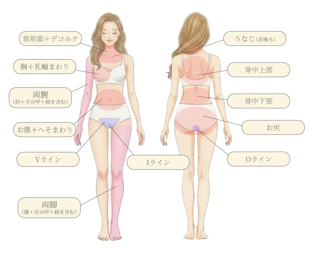 女性医療脱毛(全身)部位