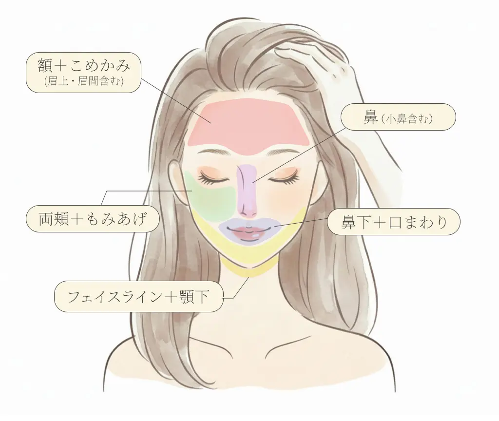 女性医療脱毛(顔)部位